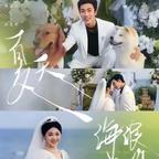 毫不迟疑的达芙妮头像
