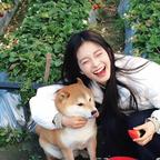 爱吃瓜的大美女888头像