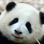 婚礼英雄叶文杰头像