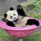嘟嘟哒啦哒头像