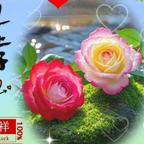 郭家易头像