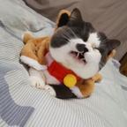 朵拉头像