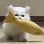 gzslkshddx头像
