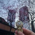 苍穹之境的赵茹茹头像