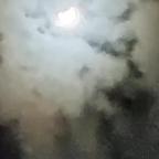 用户10086281头像