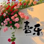 甜心果果爱追剧‌头像