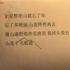 山花❀了无痕迹头像