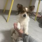 打完三针爱上红果头像