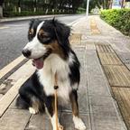 医头像