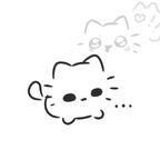 DOKIN头像