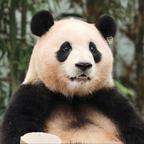 糖果小嗨头像