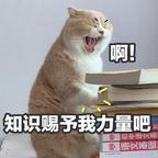 生机勃勃的杀星头像
