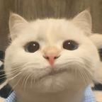在短剧圈里醉生梦死头像