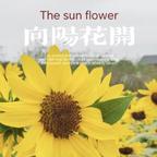 关于你的记忆头像