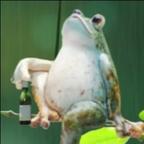 一叶孤舟头像