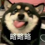 当务之急是睡觉💤头像