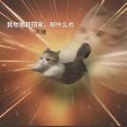 玐小舞头像