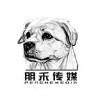 朋禾短剧制片厂头像
