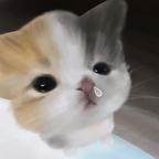 ꒦ິ^꒦ິ头像