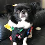 N🍀头像
