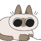 躲在心里的猫猫头像