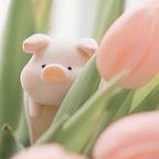 同频头像