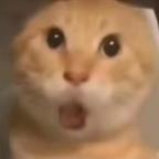 liu头像