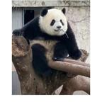 小桃子爱追剧头像