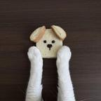低温慢煮小狗饭头像