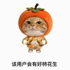 低调的小玉米头像