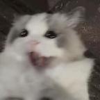相交线头像