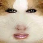 猪妞与老有人红烧肉头像