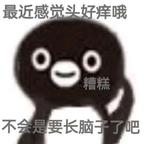 人间评论精华头像