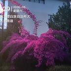用户37893850头像