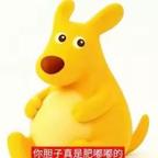 姜月初无脑粉都是sz头像