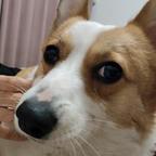 玖玖头像