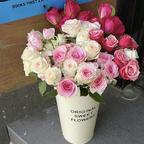 婲婲的🌸花花世界头像