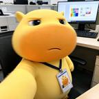 Fa_88888888头像