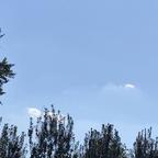 小雨滴头像