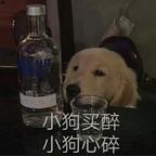 AA老师头像