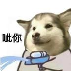 薄荷奶绿好好喝头像