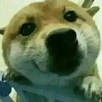 熟悉头像