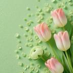 春风拂落梨花白🌸头像