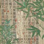 竹坞听雨头像