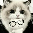 心困小猫头像