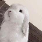 不再为友情哭算长大吗头像