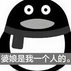 峨眉山上那孤独的狼头像