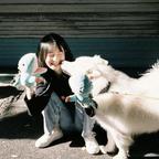 意眠.头像