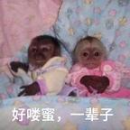 别烦我了头像