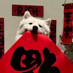 w头像